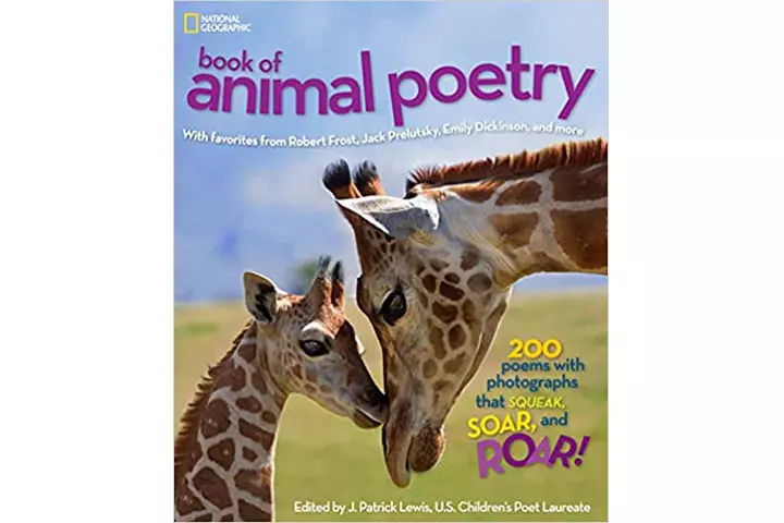 National Geographic Book Of Animal Poetry