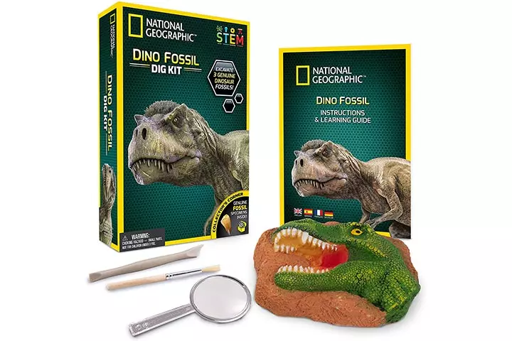 National Geographic Dino Fossil Dig Kit