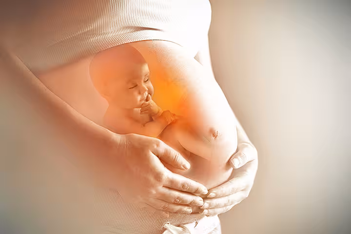 pregnacy-week-by-week