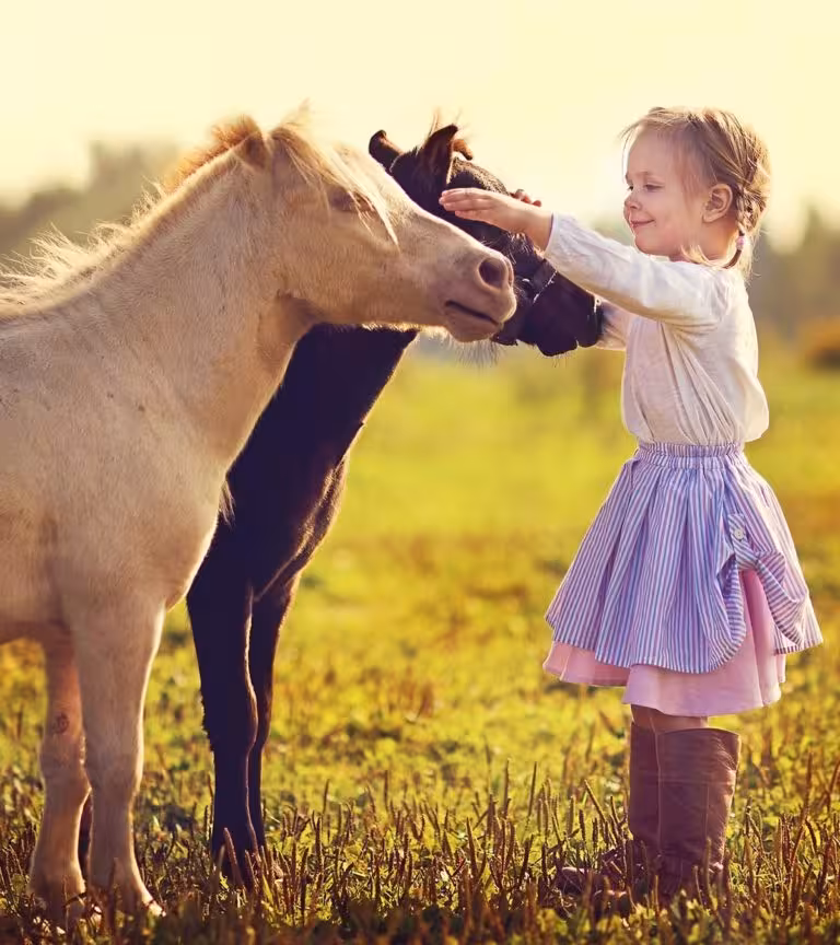 25 Informative And Fun Facts About Horses For Kids
