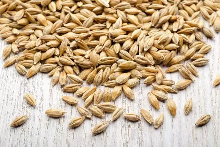 BarleyWheat Test