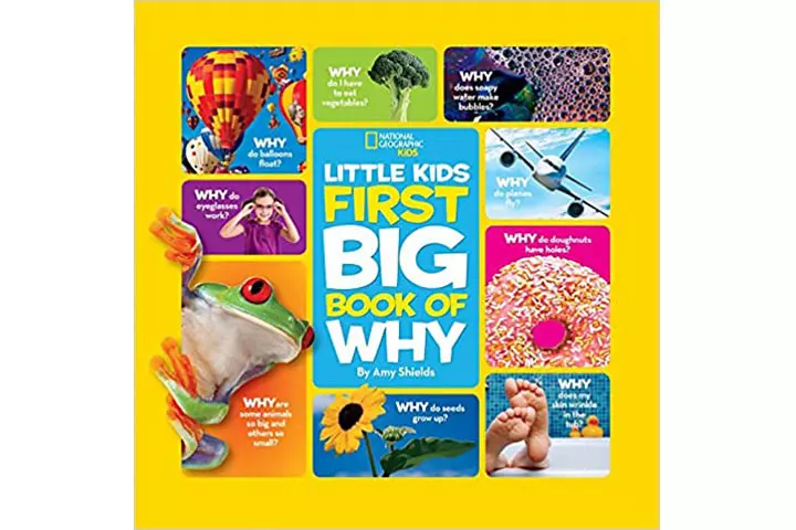 Best Activity Books To Buy For 6 Year Kid In India