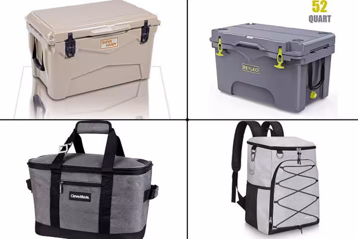 Best Coolers For Camping