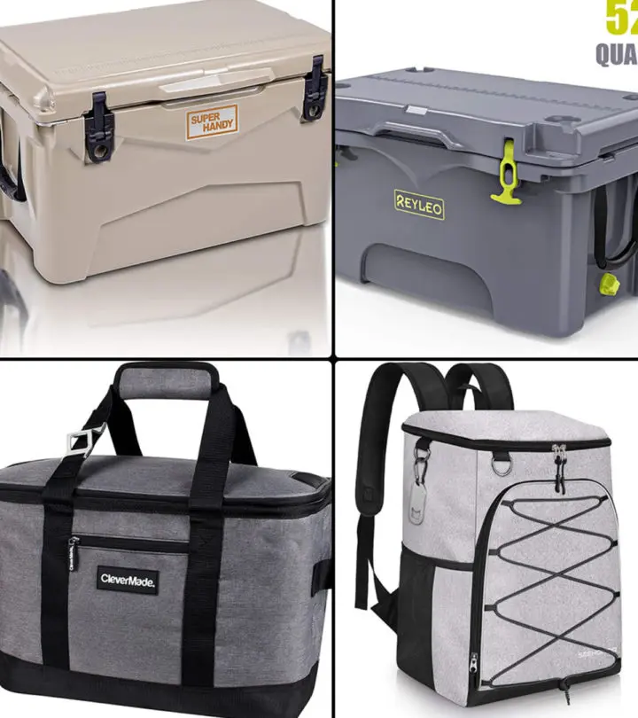 Best Coolers For Camping