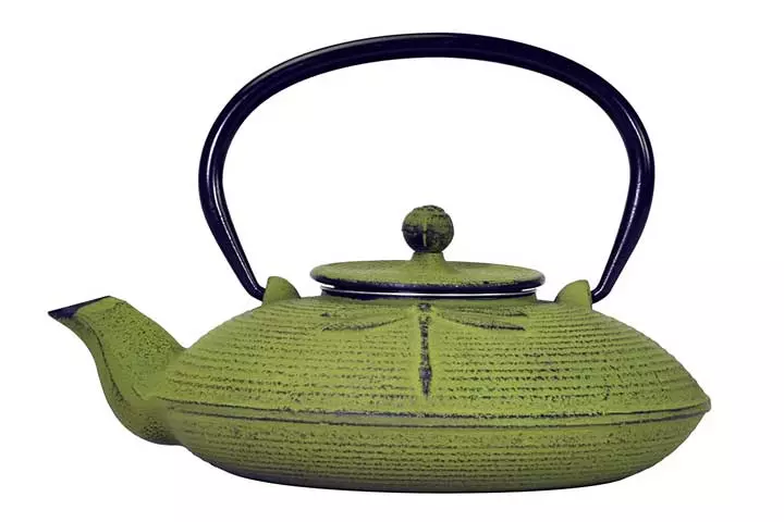 Primula Green Dragonfly Japanese Tetsubin Cast Iron Teapot