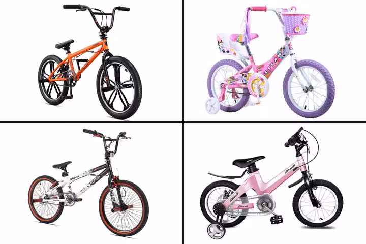 11 Best BMX Bikes To Buy In 2020-1