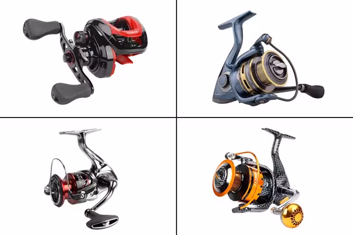 11 Best Fishing Reels To Buy In 2020-1