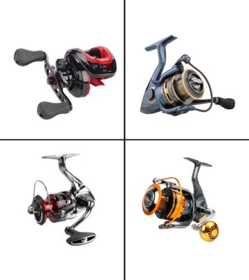 11 Best Fishing Reels To Buy In 2020