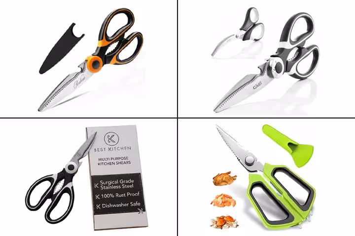 15 Best Poultry Shears To Buy In 2020-1.jpg