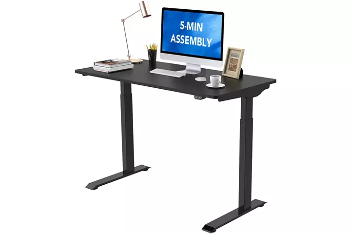 Flexispot Standing Home Office Desk