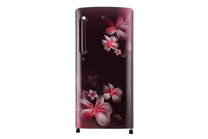 LG 190 L 4 Star Inverter Single Door Refrigerator