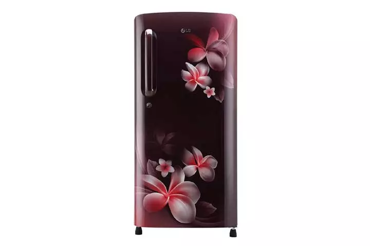 LG 190 L 4 Star Inverter Single Door Refrigerator