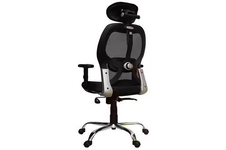 Savya Home Apollo High Back Office Chair