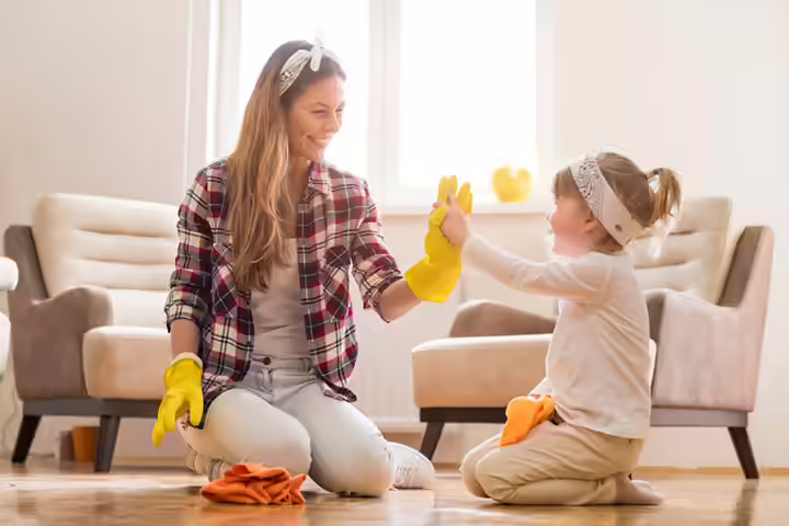 The robotic cleaning games for girls and boys The robotic cleaning games for girls and boys