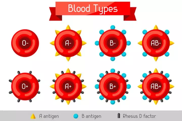 Different blood groups for kids