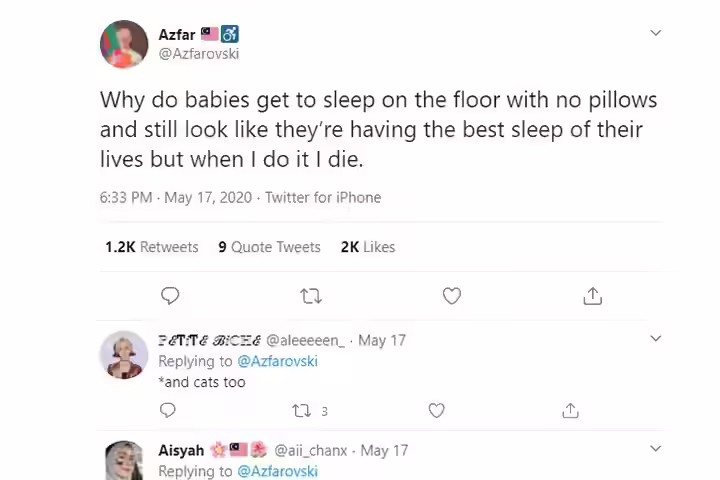 Why Do We Even Bother Getting Them A Bed