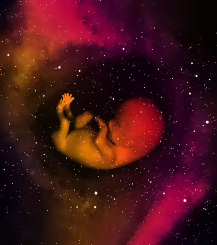 ant to know more about the development of the fetus in your womb
