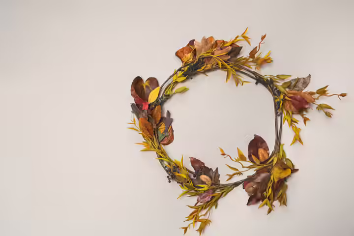 Animalcraft using real leaves fall craft for kids Animalcraft using real leaves fall craft for kids