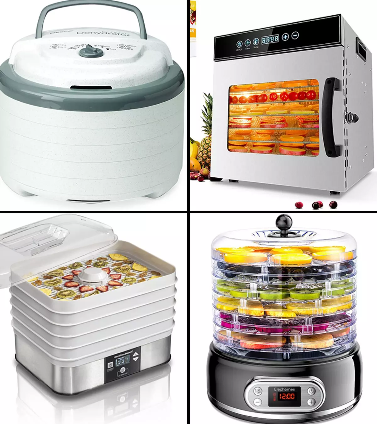 17 Best Food Dehydrators For Your Kitchen, With Buying Guide