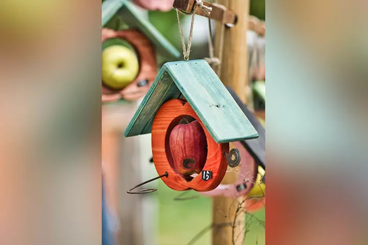 Bird feeders fall crafts for kids