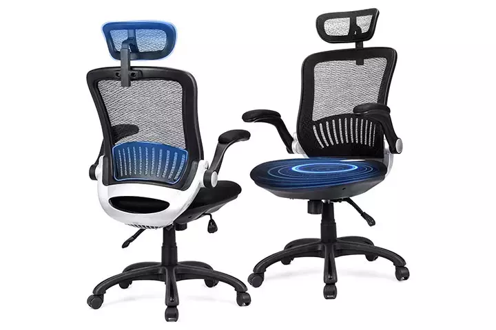 Ergousit Mesh Desk Chair