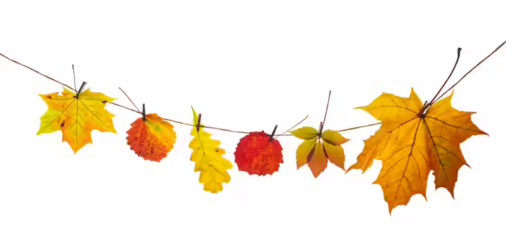 Leaf hangings fall crafts for kids Leaf hangings fall crafts for kids
