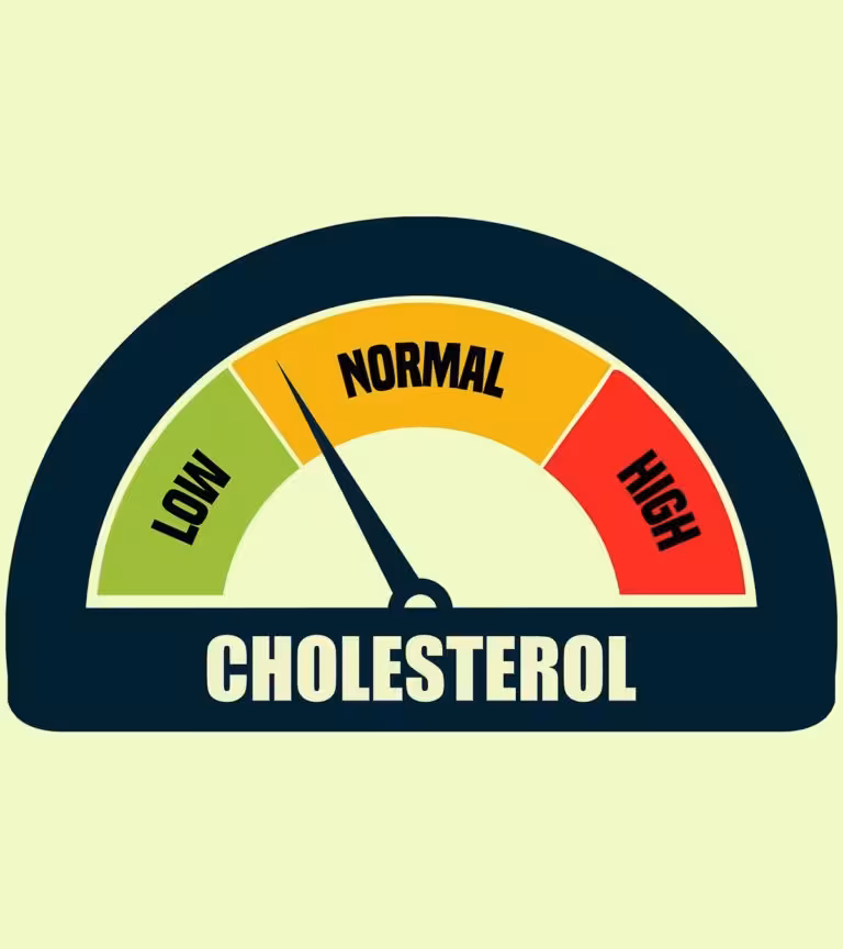 High Cholesterol In Children: Causes, Treatment And Prevention