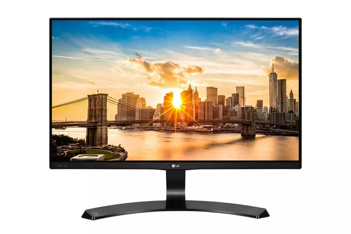 LG Full HD Monitor