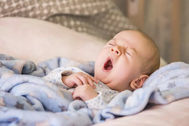 Newborn Sleep Cycles: Learn All About It