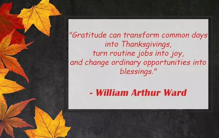 The Power Of Gratitude