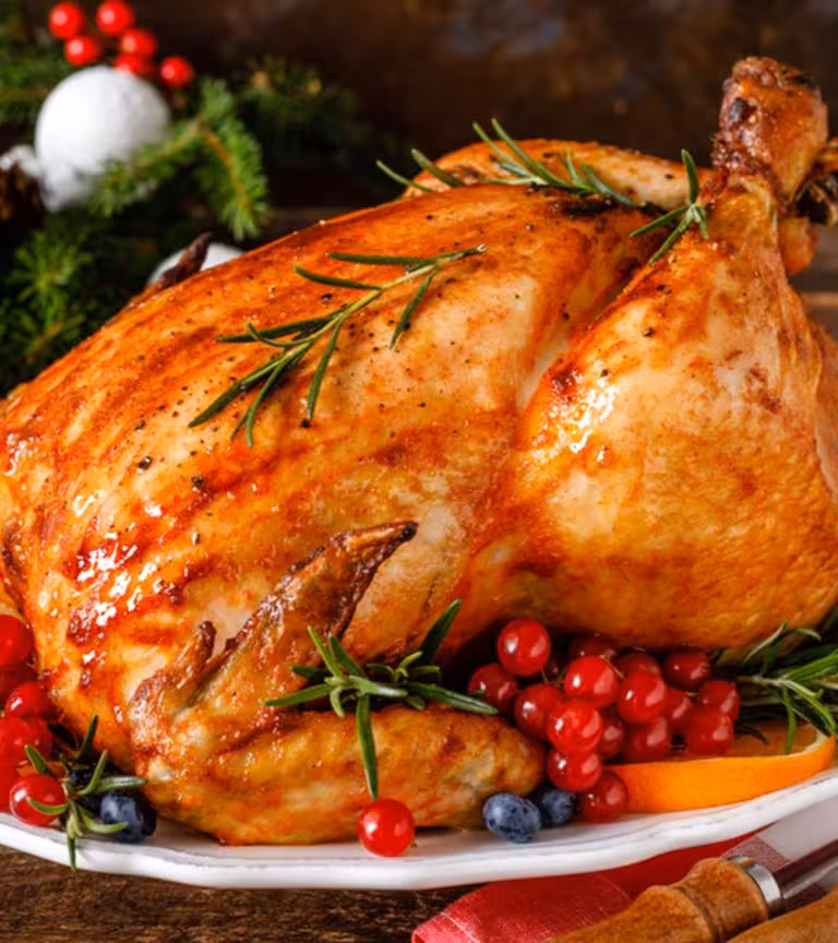 Turkey For Babies: Is It Good For Your Baby?