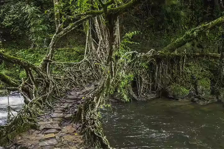 Wettest Place On Earth Inhabited By Humans