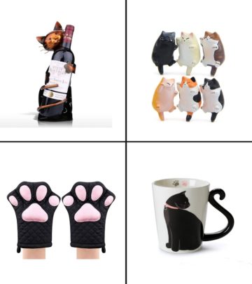 19 Best Gifts For Cat Lovers In 2020