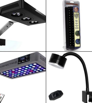 15 Best LED Aquarium Lights in 2021_image