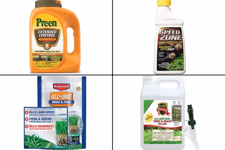Best Weed Killers To Keep Your Lawn Looking Beautiful