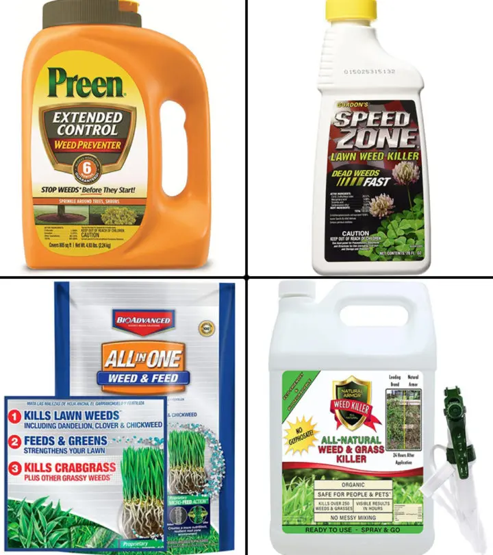 Best Weed Killers To Keep Your Lawn Looking Beautiful