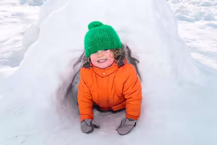 Build Forts