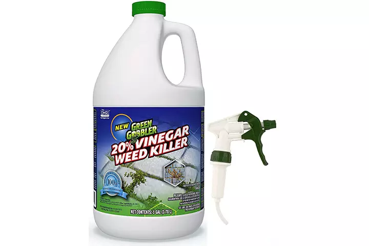 Green Gobbler 20% Vinegar Weed Killer