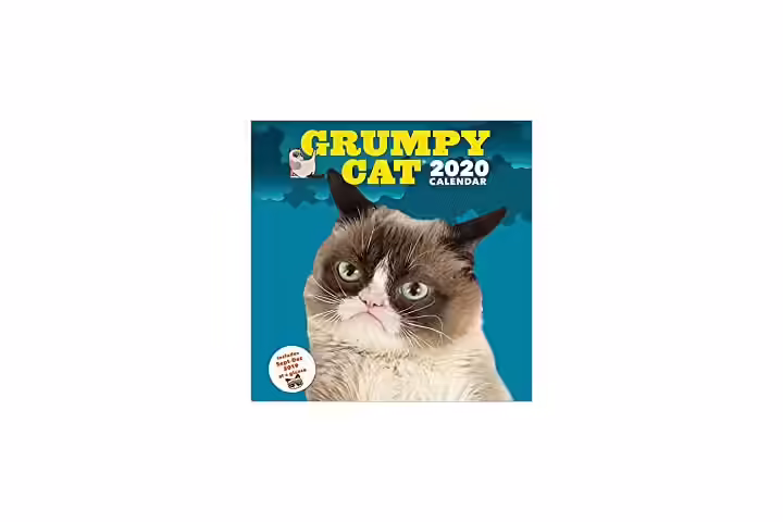 Grumpy Cat 2020 Wall Calendar