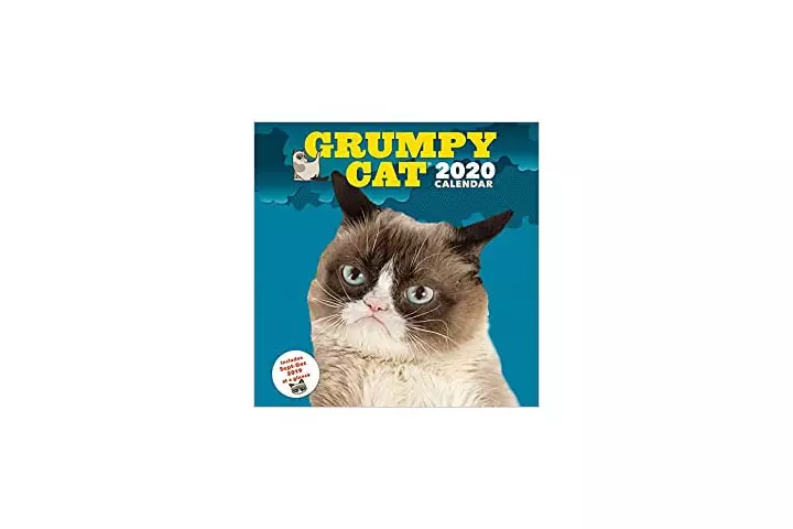 Grumpy Cat 2020 Wall Calendar