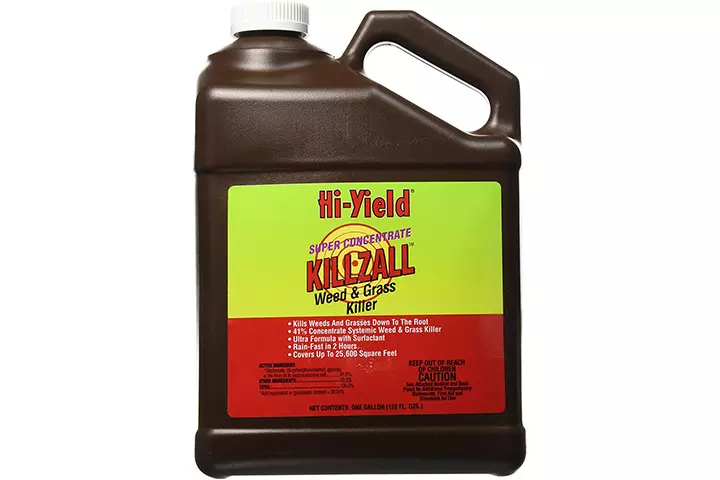 Hi-Yield Killzall Weed and Grass Killer