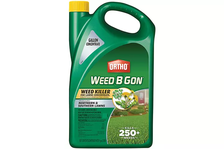 Ortho Weed B Gon Weed Killer for Lawns Concentrate