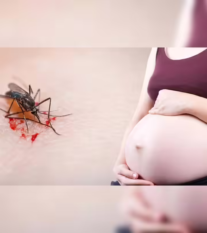 Pregnancy Me Malaria Ke Lakshan