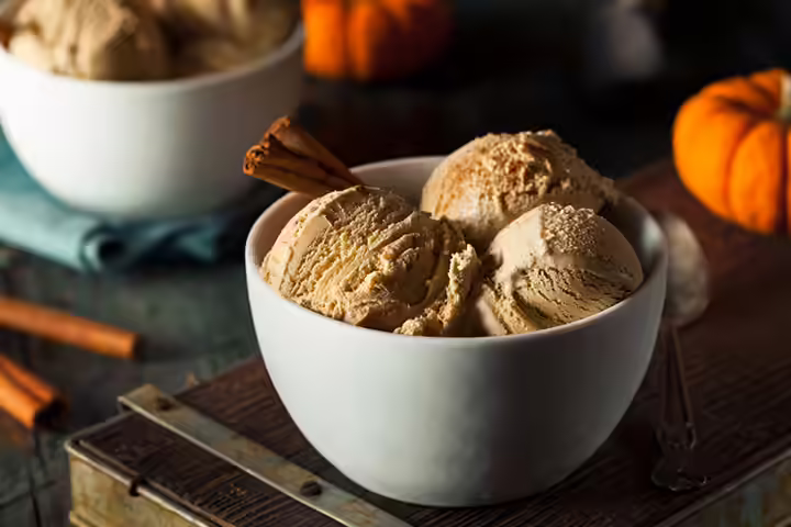 Pumpkin pie ice cream recipes for kids Pumpkin pie ice cream recipes for kids