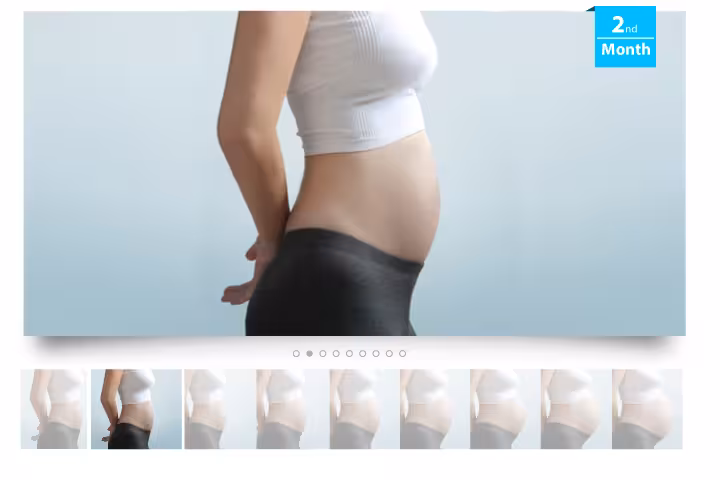 Second Month Pregnancy In Bengali