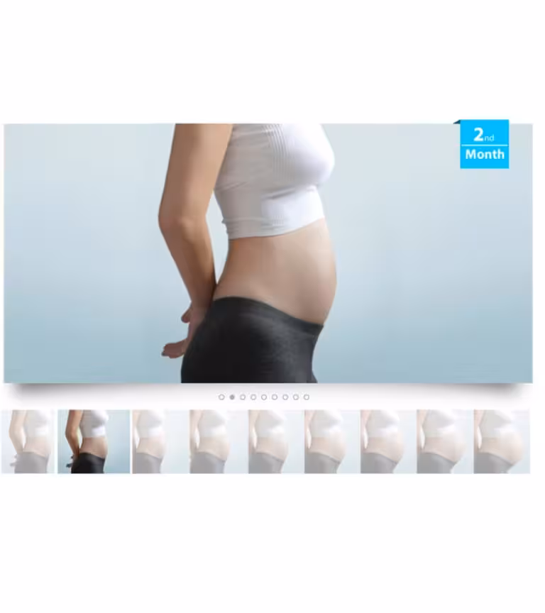 Second month Pregnanacy