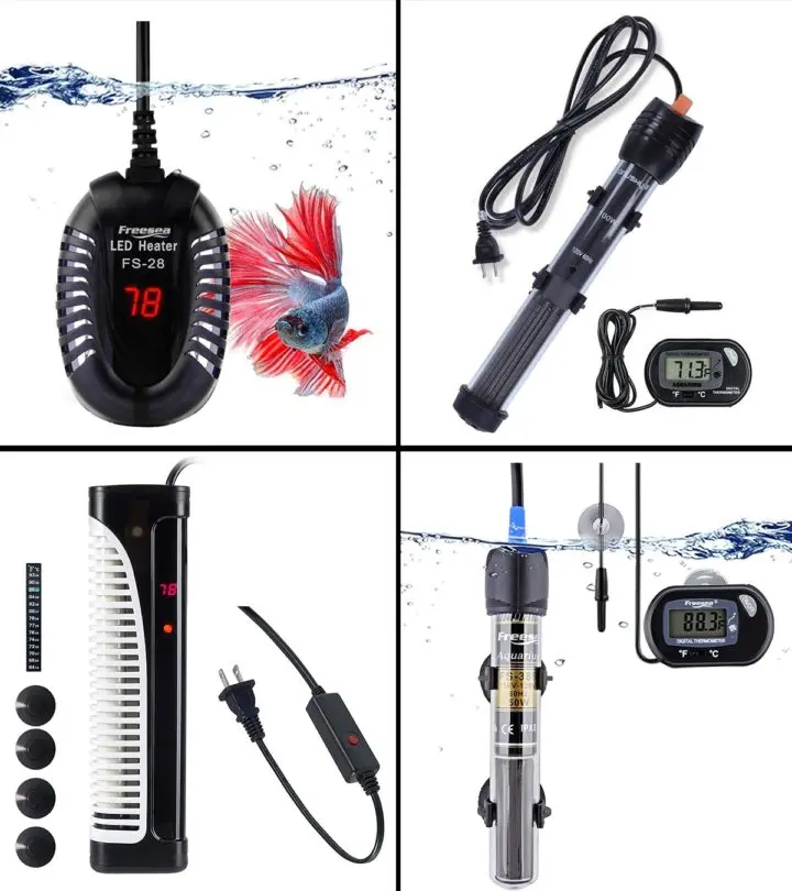 15 Best Aquarium Heaters In 2020 With Buying Guide