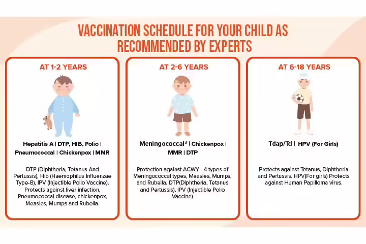 Vaccination Card’ Your Toddler’s Health Passport