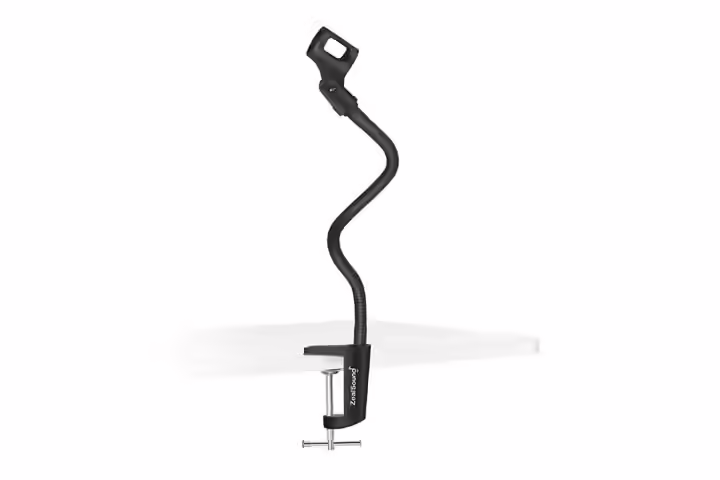 ZealSound Microphone Stand