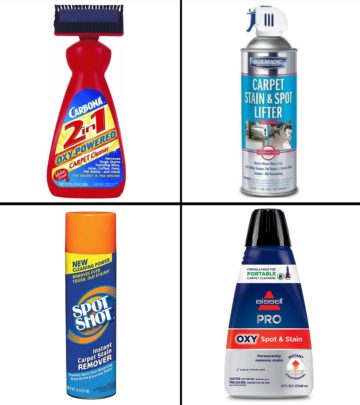 With the best carpet stain remover, nothing can stop your carpets from looking brand new. 